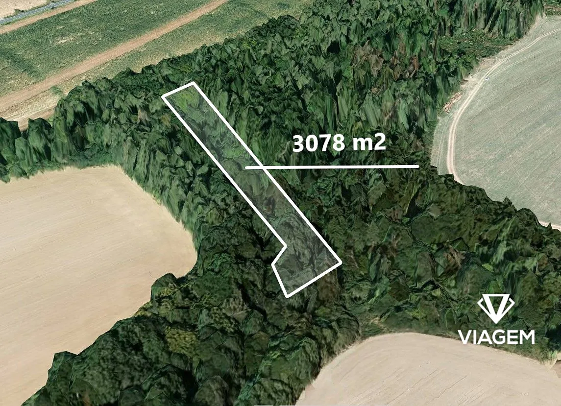 Prodej lesa 3078 m²